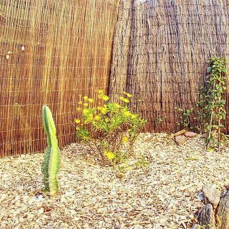 Apartment A1 La D'or Le Lavandou