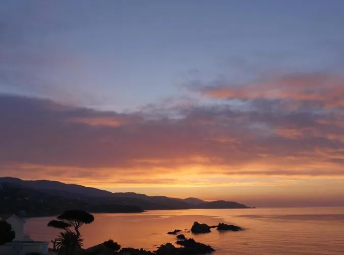 A1 La D'or アパート