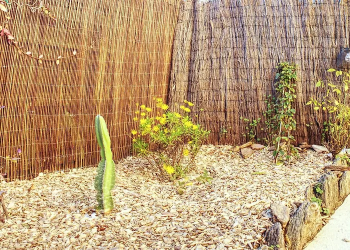 Lägenhet A1 La D'or Le Lavandou